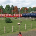 E 10 mit Güterzug