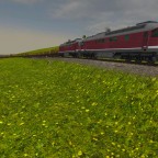 Doppeltraktion der 232