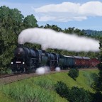 Photo train with 555.3008 and 555.0153