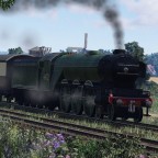 [TpF1] LNER A3 and my attempt into painting-like screenshot