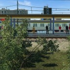 Silberlinge in München gesichtet