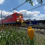 BR 151 mit Erzbomber
