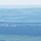 Das weite Feld
