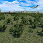 Landung am Flughafen KölnBonn