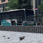 Arriva Mercedes Benz Citaro