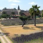 Nochmal Lavendel