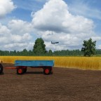 Anflug während der Ernte
