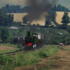 [TpF1] Evening run through the hills