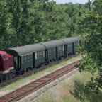 Regional train in the woods
