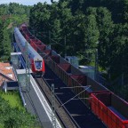 RE 50 & Güterzug Durchfahrt