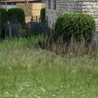 Sexy Vegetation Extension ( Mod Preview )