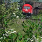 2016 mit Nahverkehrsgüterzug