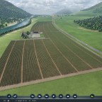 Wikinger Weingut