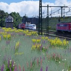 Zugbegegnungen: BR 111 + Dotos, ICE T und MRCE Taurus mit y-Wagen
