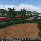 Ausfahrt Rodenkirchen