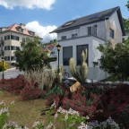 Weiterer Fortschritt an der Sonnhalde