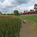 Die Getreideübergabe auf der Anschlussbahn
