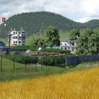 Stadion Trinermatten WIP (hinter dem Freibad)