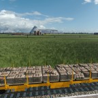 Chocolate Production/Schokoladenproduktion