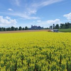 Burg Bärenfels mit Regionalbus