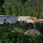 Bauer Ewalds Ställe und einige seiner Tiere