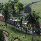 Palm trees and steam locomotives