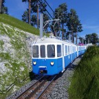 Schweizer Normal und Meterspurgleise