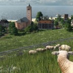 Die Schafe blicken auf das Dorf
