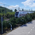 IC Auf der neuen Schnellfahrstrecke (6.1.24)