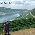 Landschaft Weinfelder
