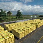 Rubber Plantation