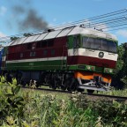 Trainspotting TEP70 in the forest