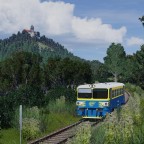 810 221-2