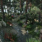Das Camp im Wald