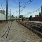 Silberlinge in München gesichtet