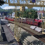 Blick auf die kleine Stadt am Bodensee mit dem kleinen Umschlagbahnof für Holz 3