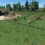 Weide vom Ponyhof