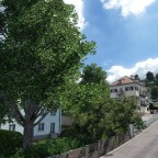 Den Berg hinan