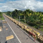Banana Plantation