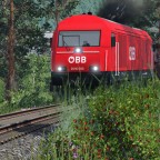 2016 mit Nahverkehrsgüterzug