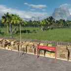 Banana Plantation