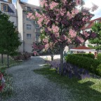 Innenhof Nr 3
