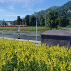 RE 5 verlässt Zugelhausen in Richtung Hölltal