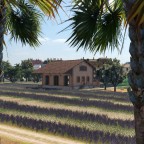 Provenzalische Impression