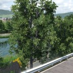 Haldenweiher Ansichten von der Rebbergstrasse her gesehen
