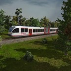 Nebenbahn unterwegs durch den Wald