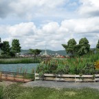 Haldenweiher Ansichten mit Holzsteg