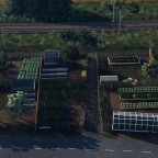 Shared Garden 2