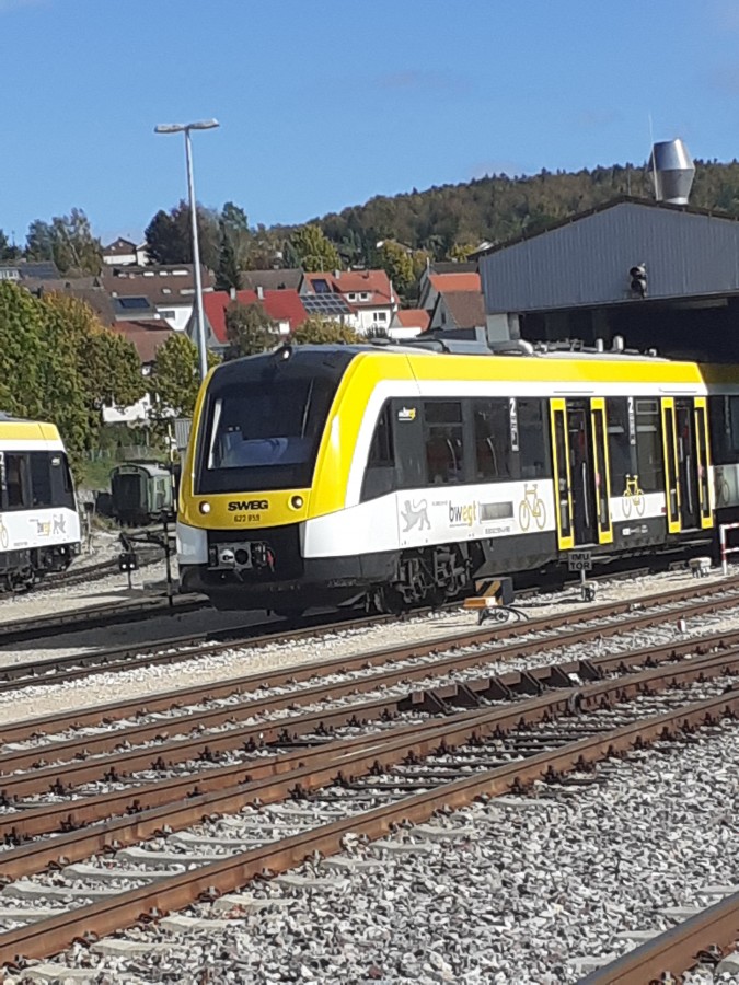 Lint 54 in Gammertingen