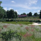 S1 passiert den Golfplatz Moosbruck